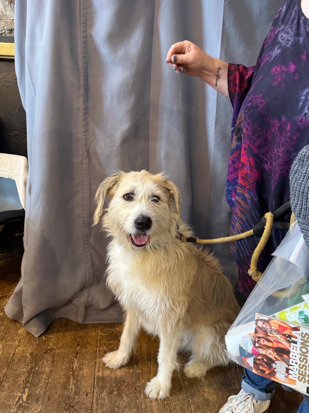 Assembly Rooms Sun 9th Nov - Image 7