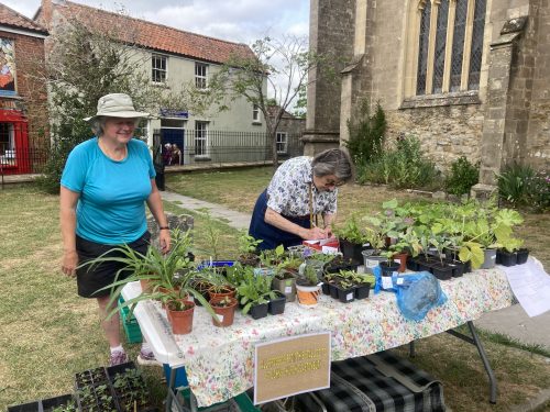 July 25th, Glastonbury’s Monthly Market - Image 14
