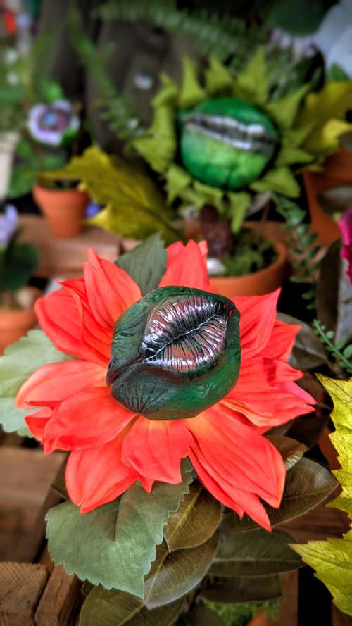 April 25th, Glastonbury's Monthly Market Outside Only